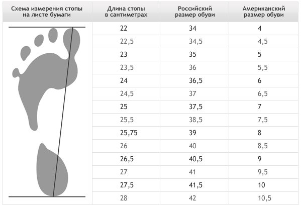 Comparing different system sizes