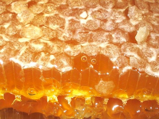 Can I eat honey comb with wax 
