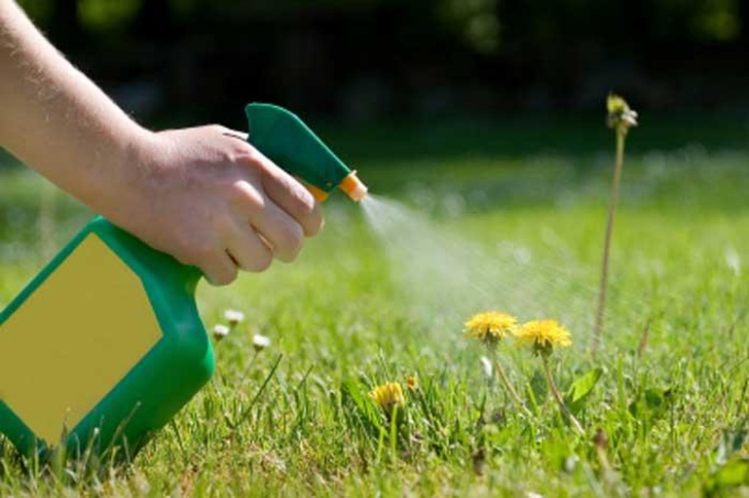 Weed control with the help of improvised means