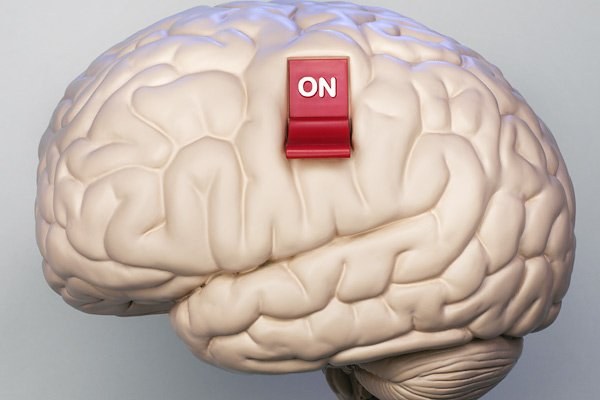 Как заставить мозг работать на все 100%