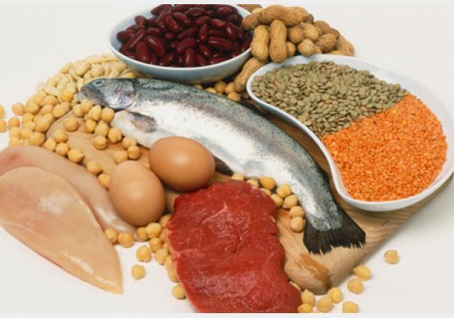 Sources of protein for the human body