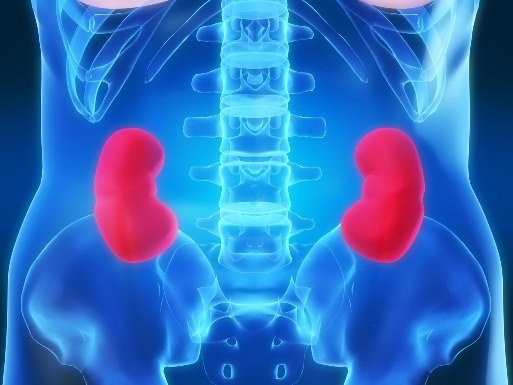 What are the signs when sick kidney 