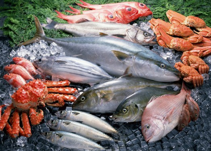 Which fish contains the most iodine