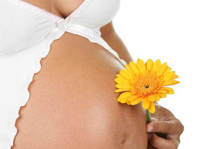 Когда и как болит грудь при беременности