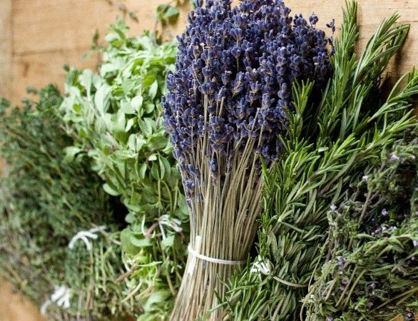 Herbes de Provence