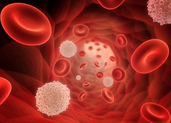 Какова норма лимфоцитов в крови