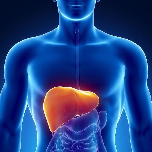 What are the signs of liver failure