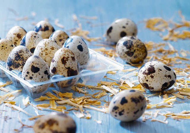 How to eat quail eggs raw