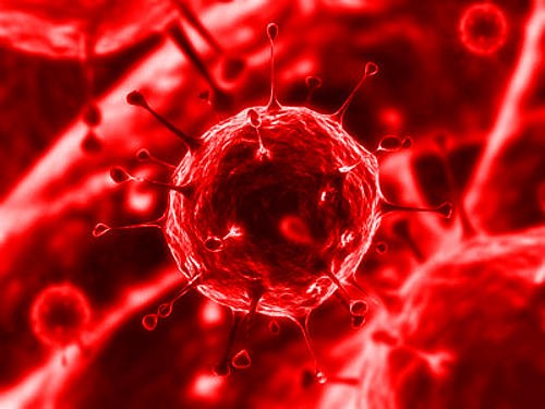 Цитомегаловирус - распространенный, но малоизученный вирус!