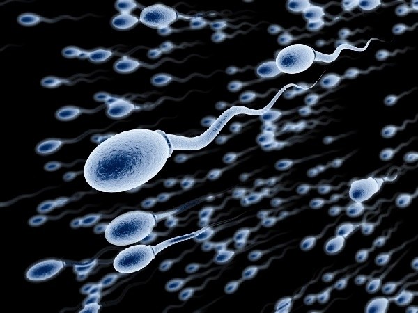 As the sperm reach the egg