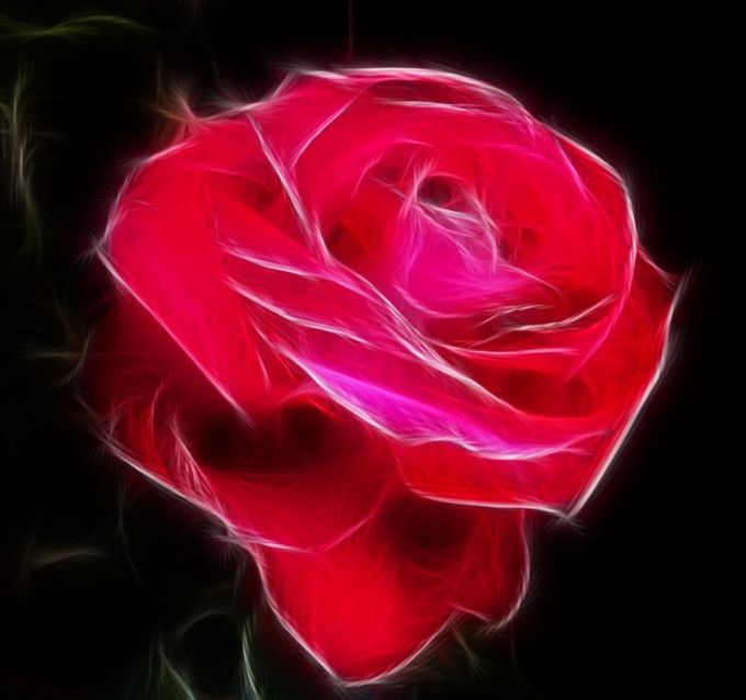 Розу можно сделать из ленты с контрастной кромкой