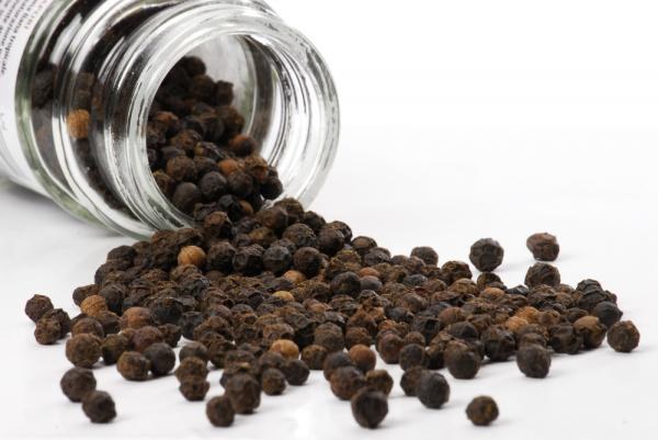 Black pepper for weight loss