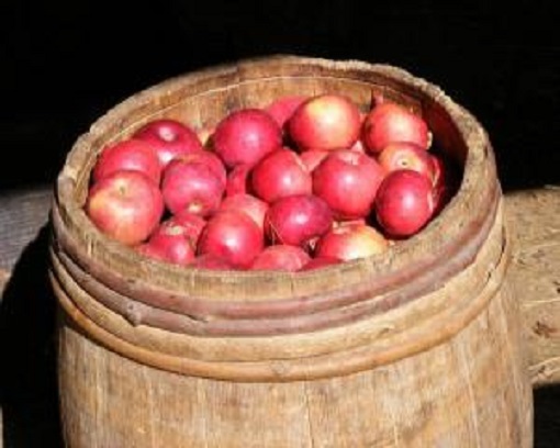 Заготовки на зиму: моченые яблоки с мятой