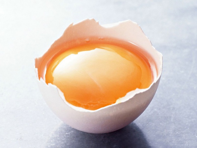 Что в яйце полезнее: белок или желток 