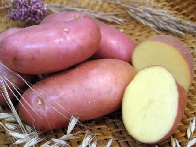 Какую лучше сажать картошку: резаную или цельную