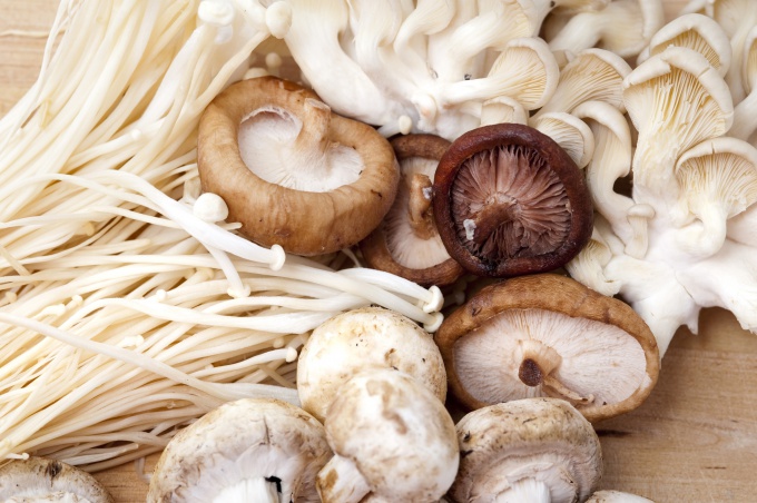 Какие грибы чаще всего используются в кулинарии