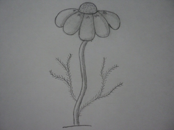 рисунок цветка