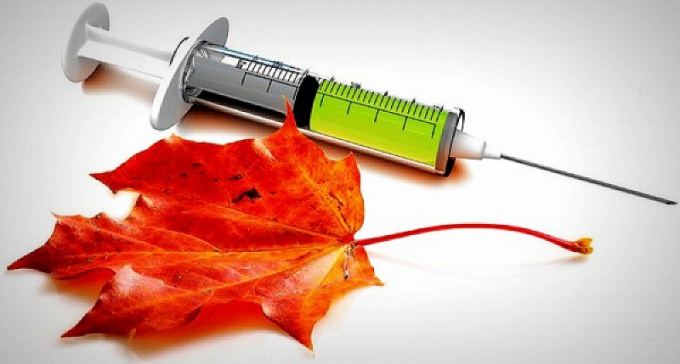 Последний срок противогриппозной прививки – конец ноября