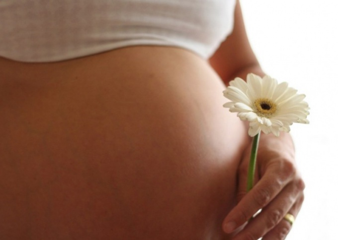 Какие противопоказания для принятия настоя ромашки при беременности