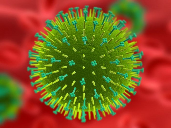 Электронная микрофотография вируса краснухи