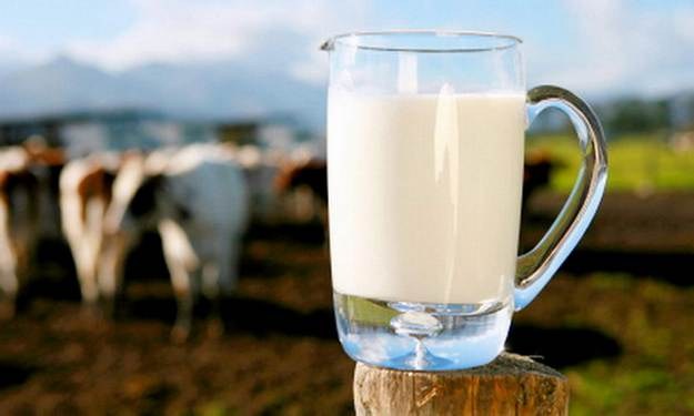 Какие полезные элементы содержатся в молоке