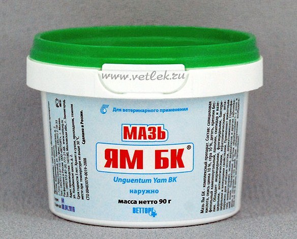 Ointment "Yam": instructions for use