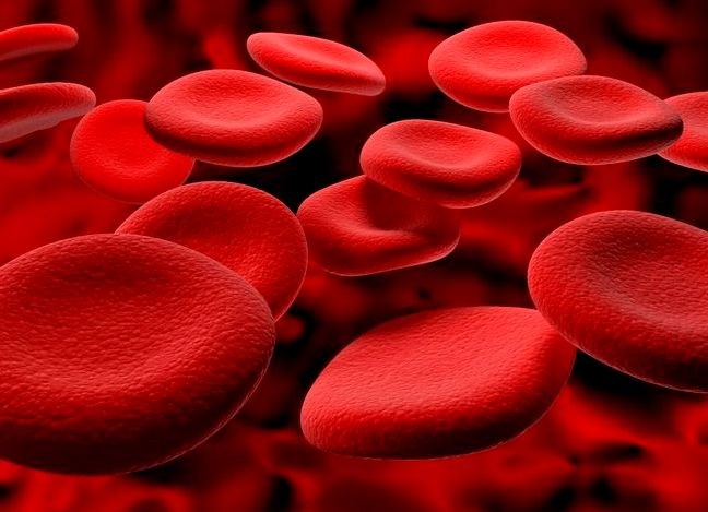 Клетки артериальной крови