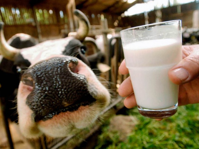 Как выбрать хорошее молоко