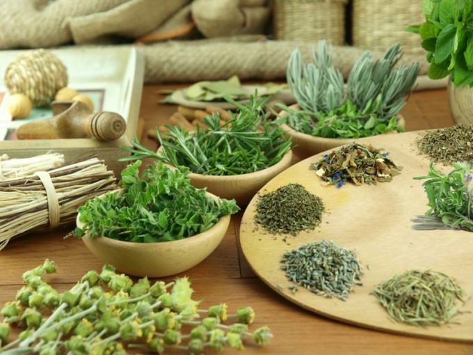 How to stop the growth of fibroids with herbs