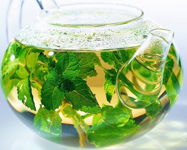 What herbs to drink for kidney patients