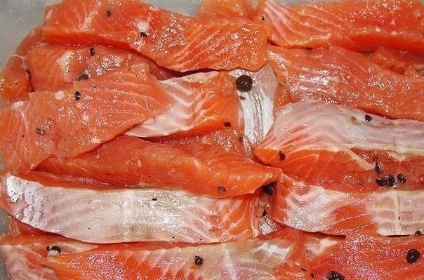 Before Smoking, salmon is necessary to properly pickle