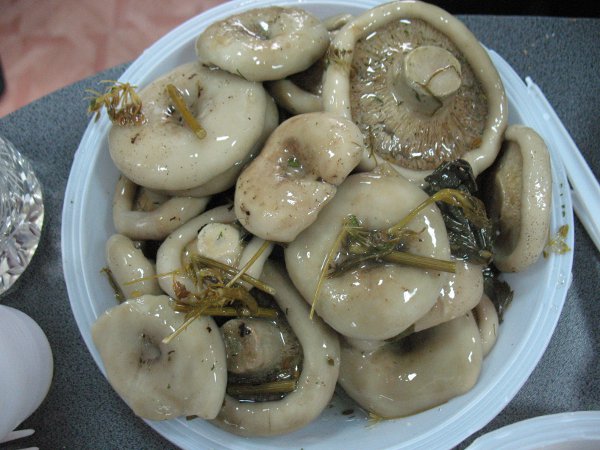 Salted mushrooms hot incredibly tasty!