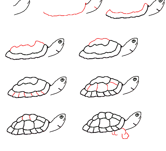 Рисуем черепаху