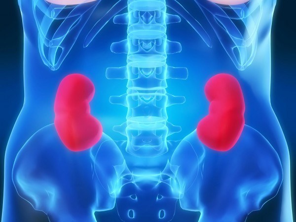 Pyelectasis of the newborn kidney