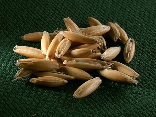 Oats for the treatment of liver