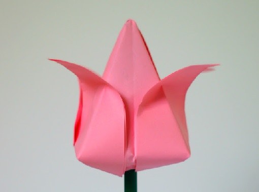 Тюльпаны оригами: красиво и изящно 