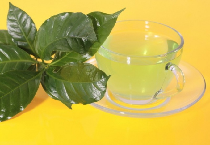 Does green tea on kidney