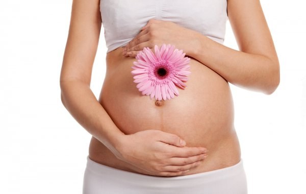 Шейка матки при беременности 