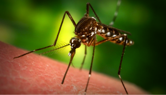 Как лечить крепкий укус комара