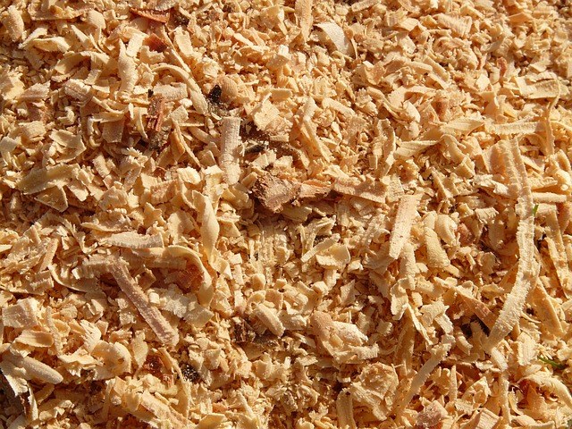 Pine sawdust