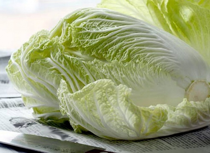 How to grow Chinese cabbage