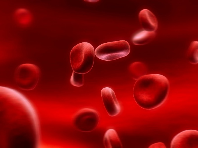 Низкий уровень тромбоцитов в крови: причины, симптомы 
