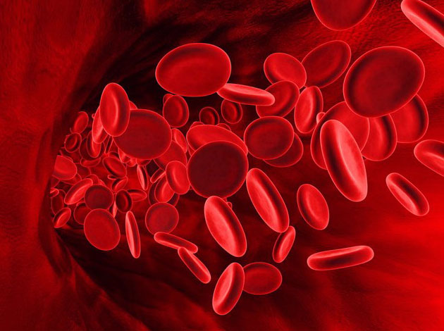 How to raise hemoglobin levels without medication