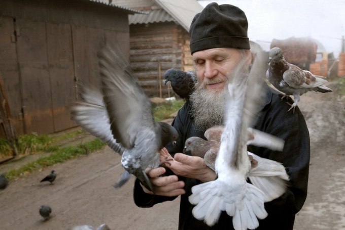 Можно ли молиться о животных: православный взгляд 