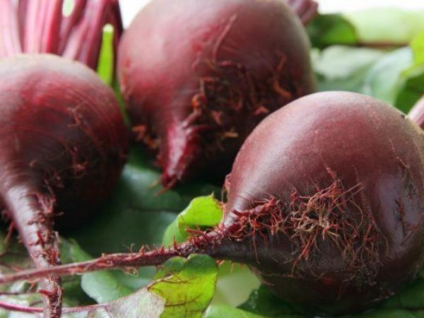 Why beet is not sweet