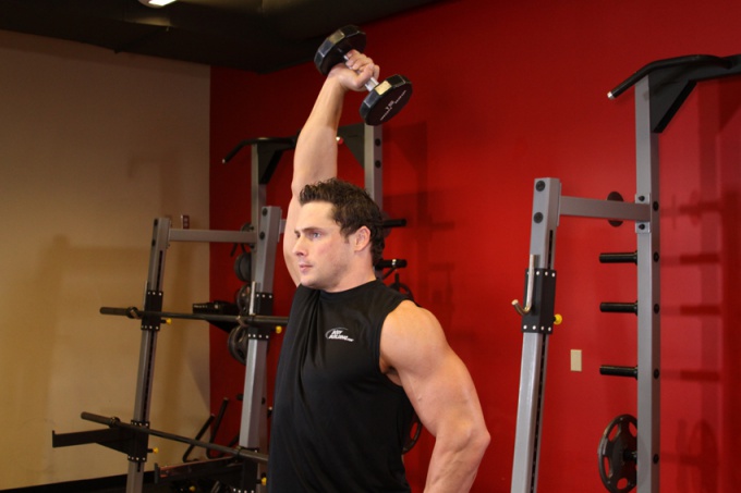 How to build triceps free weights