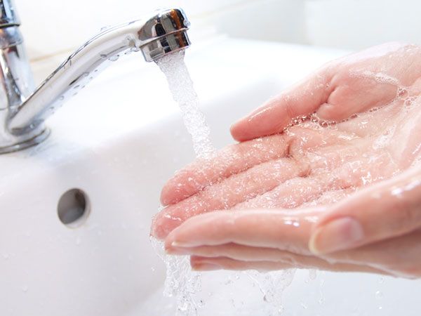 Чем отмыть руки после чистки грибов