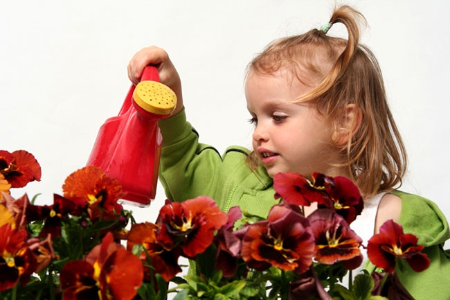Цветоводство в школе и его роль в воспитании детей