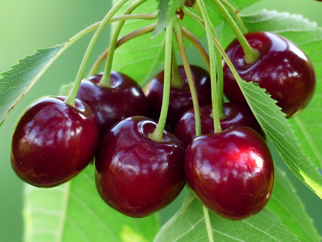 When ripe cherry