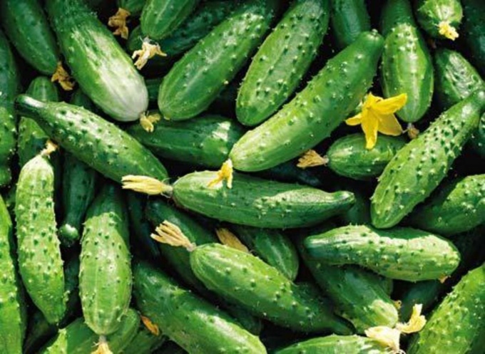 Why are cucumbers bitter? What to do with bitter cucumbers?